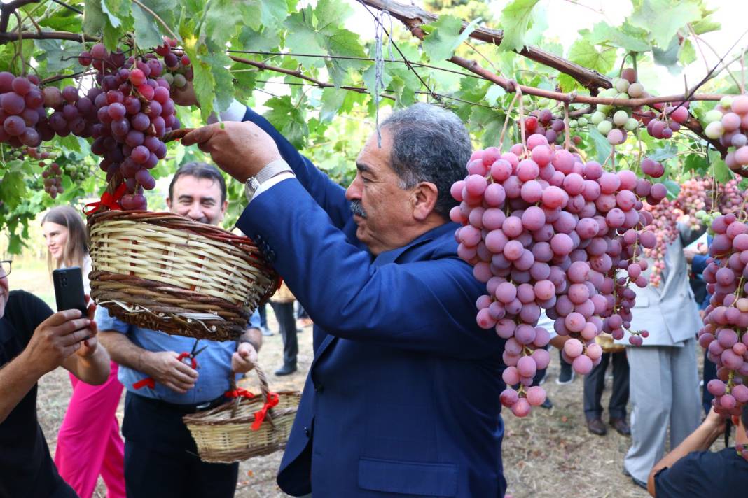 Tarım kentinde bağ bozumu böyle başladı: Muhteşem fotoğraflara konu oldu 5